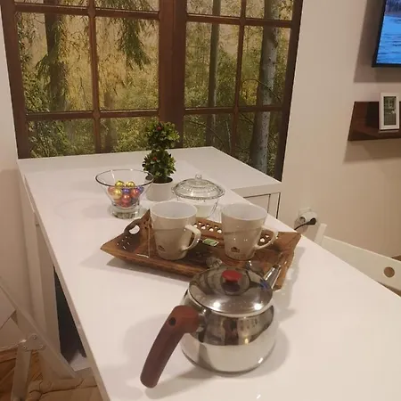 アパート Apartment Lazy Bear Bjelasnica Bjelašnica