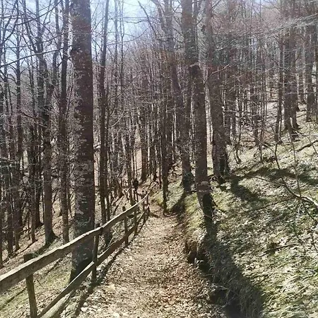 Apartment Lazy Bear Bjelasnica Bjelašnica