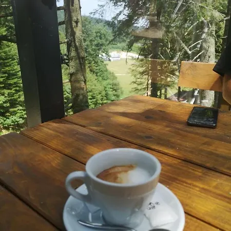 Apartment Lazy Bear Bjelasnica Bjelašnica